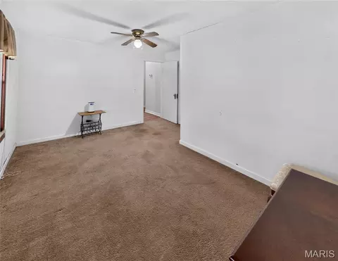 Other - 308 Thost St, Fredericktown, MO 63645 photo 6 of 11