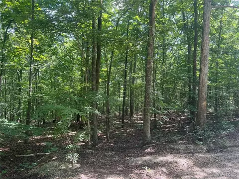 tbd Forest Dr, Wappapello, MO 63966 photo 3