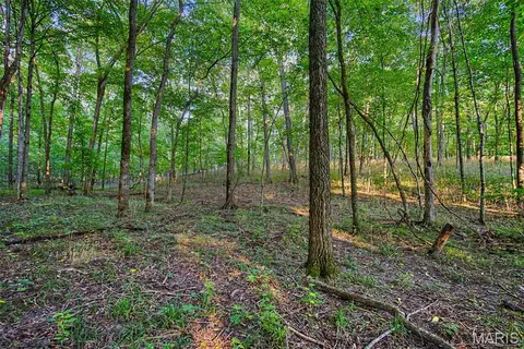 Other - 10 Henebry Hills Ln, Troy, MO 63379 photo 29 of 39