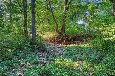 Other - 10 Henebry Hills Ln, Troy, MO 63379 photo 27 of 39