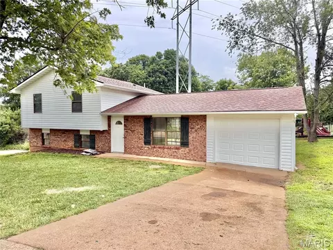 100 Pelican Dr, Park Hills, MO 63601