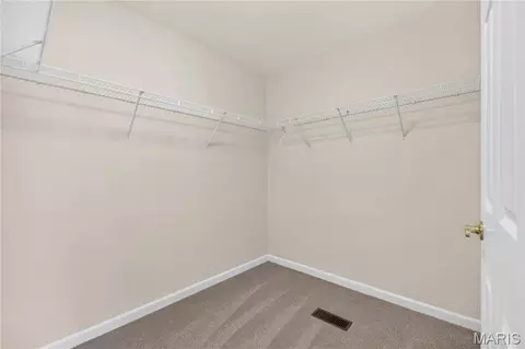 Other - 548 Boulder River Dr, O'fallon, MO 63368 photo 9 of 9