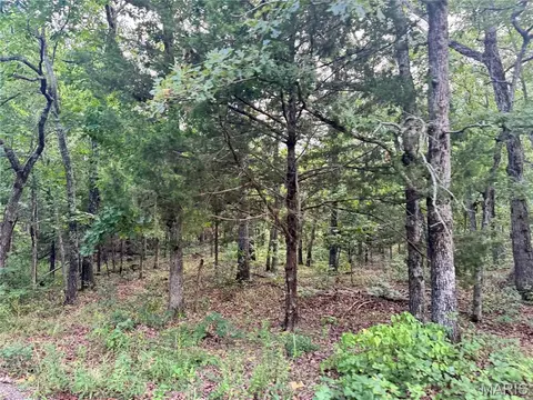 625 Pond Run Rd, Gerald, MO 63037 photo 5