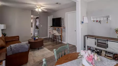 Other - 239 Center St, Sullivan, MO 63080 photo 7 of 14