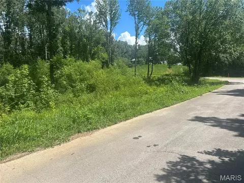0 Tamarak Ln, Dexter, MO 63841 photo 3