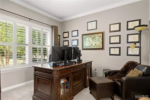 Other - 268 Magnolia Trace Dr, Ballwin, MO 63021 photo 1 of 8
