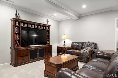 Other - 268 Magnolia Trace Dr, Ballwin, MO 63021 photo 6 of 8