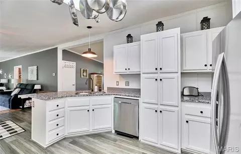 141 Sun Haven Dr, Silex, MO 63377 photo 19