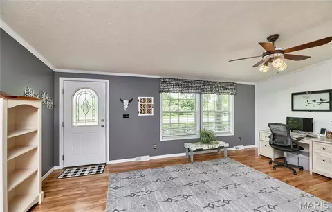 141 Sun Haven Dr, Silex, MO 63377 photo 4