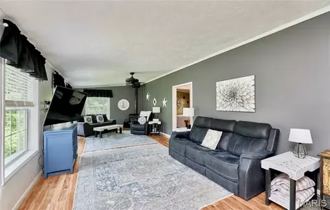 141 Sun Haven Dr, Silex, MO 63377 photo 7