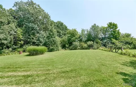 141 Sun Haven Dr, Silex, MO 63377 photo 64