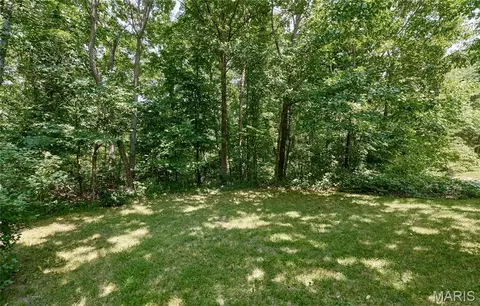 141 Sun Haven Dr, Silex, MO 63377 photo 63