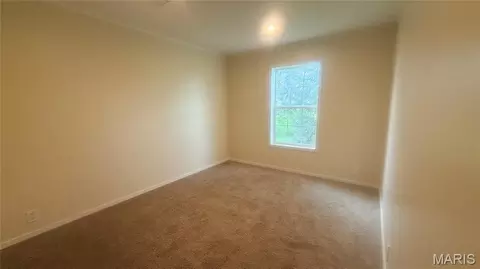 8037 County Road 541, Senath, MO 63876 photo 12