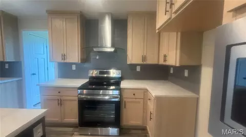 8037 County Road 541, Senath, MO 63876 photo 6
