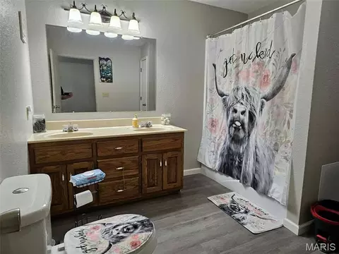 Bath - 16210 Walnut Dr, Plato, MO 65552 photo 2 of 2