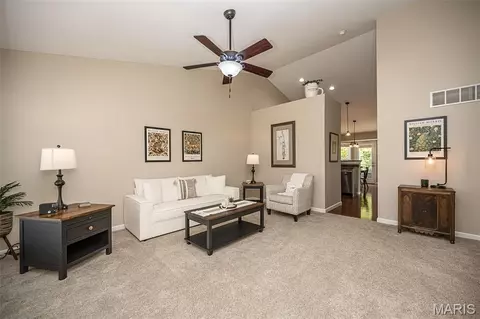 Other - 249 Belmonte Cir, O'fallon, MO 63368 photo 6 of 8