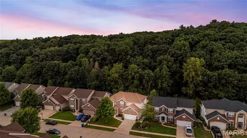 View/Area - 1388 Red Oak Plantation Dr, Ballwin, MO 63021 photo 4 of 7