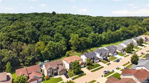 View/Area - 1388 Red Oak Plantation Dr, Ballwin, MO 63021 photo 5 of 7