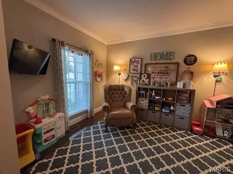Other - 117 Fox Haven Dr, O'fallon, MO 63368 photo 4 of 10