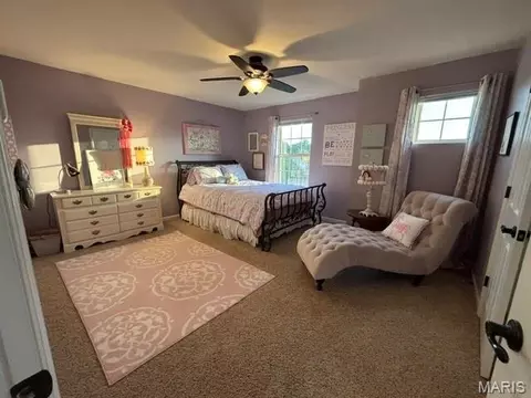 Bedroom - 117 Fox Haven Dr, O'fallon, MO 63368 photo 3 of 4