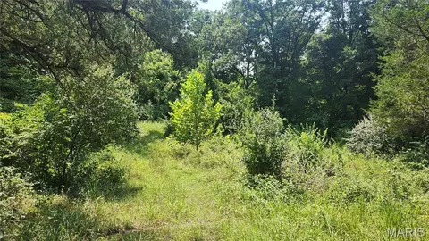 3047 Dorman Rd, Festus, MO 63028 photo 4