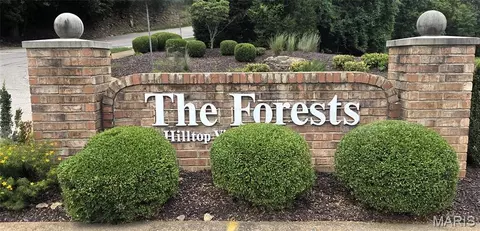 Other - 708 Hilltop Woods Ct, Eureka, MO 63025 photo 8 of 14