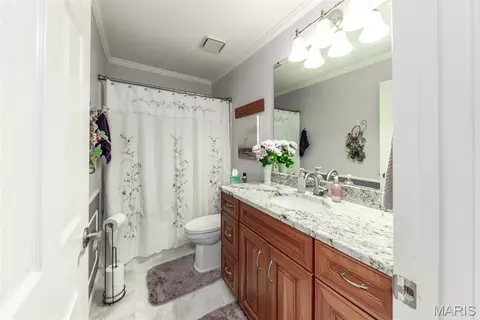 Bath - 765 Spring Hill Farm Dr, Ballwin, MO 63021 photo 3 of 3