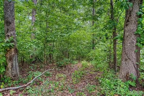 0 County Road 535, Jackson, MO 63755 photo 19