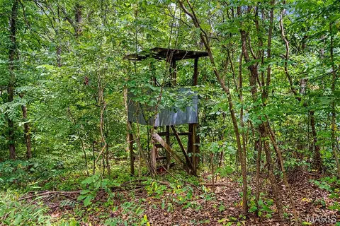 0 County Road 535, Jackson, MO 63755 photo 18