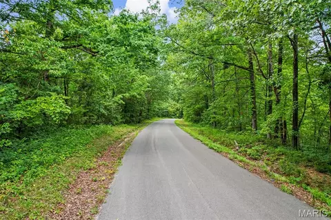 0 County Road 535, Jackson, MO 63755 photo 23