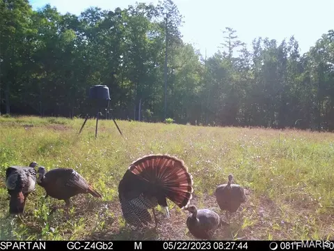 001 Bb Hwy, Fairdealing, MO 63945 photo 39