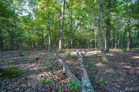 001 Bb Hwy, Fairdealing, MO 63945 photo 22