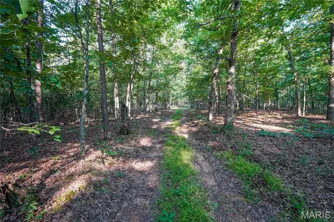 001 Bb Hwy, Fairdealing, MO 63945 photo 14