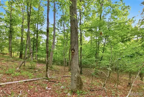 001 Bb Hwy, Fairdealing, MO 63945 photo 28