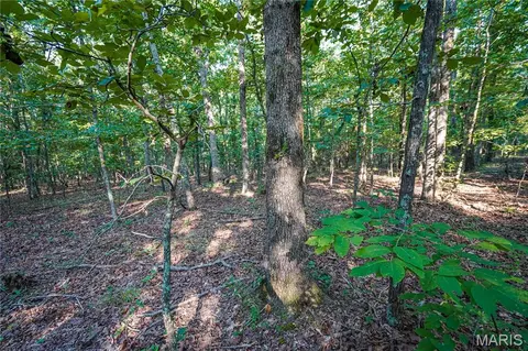 001 Bb Hwy, Fairdealing, MO 63945 photo 24