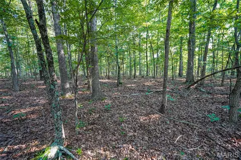 001 Bb Hwy, Fairdealing, MO 63945 photo 20