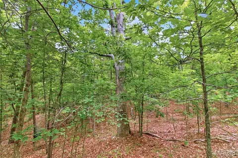 001 Bb Hwy, Fairdealing, MO 63945 photo 30