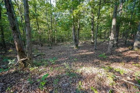 001 Bb Hwy, Fairdealing, MO 63945 photo 21