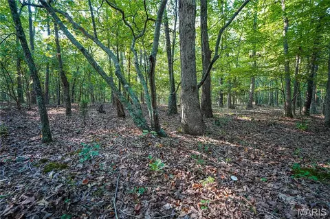 001 Bb Hwy, Fairdealing, MO 63945 photo 23