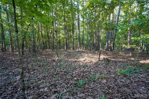 001 Bb Hwy, Fairdealing, MO 63945 photo 27