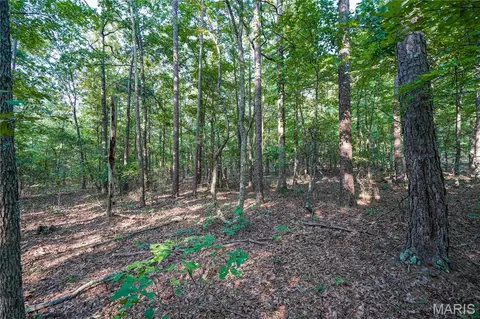 001 Bb Hwy, Fairdealing, MO 63945 photo 17