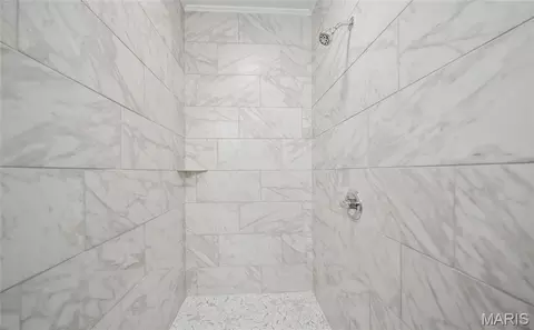 Other - 21875 Vineyard Outer Rd, Saint James, MO 65559 photo 6 of 17