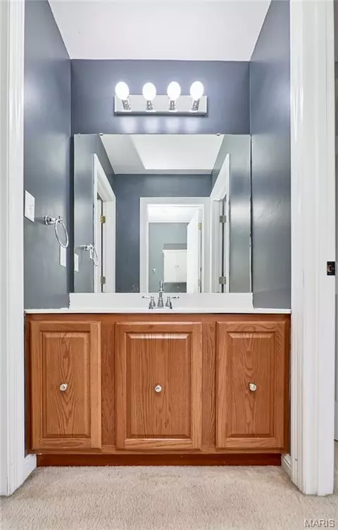 Bath - 409 Westridge Dr, Troy, MO 63379 photo 8 of 12