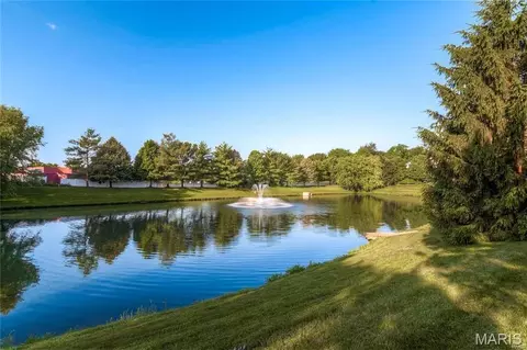 View/Area - 259 Cheval Square Dr, Chesterfield, MO 63005 photo 3 of 3