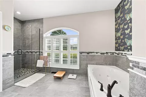 Bath - 3 Bluff Haven Dr, Troy, MO 63379 photo 1 of 4