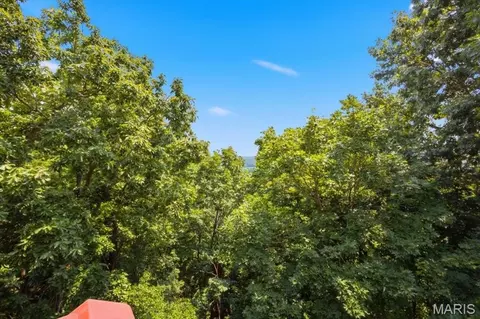 Other - 688 Meramec View Dr, Eureka, MO 63025 photo 18 of 19
