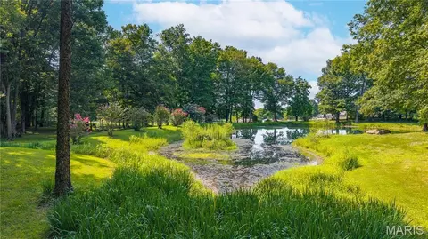 View/Area - 331 Pine Log Ln, Jackson, MO 63755 photo 6 of 7