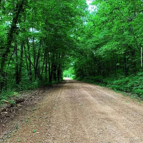 Other - 2139 County Road 101, Ironton, MO 63650 photo 25 of 33