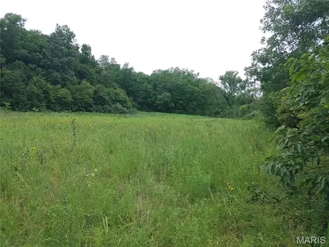 Exterior - 2139 County Road 101, Ironton, MO 63650 photo 10 of 24