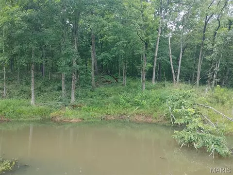 View/Area - 2139 County Road 101, Ironton, MO 63650 photo 9 of 18